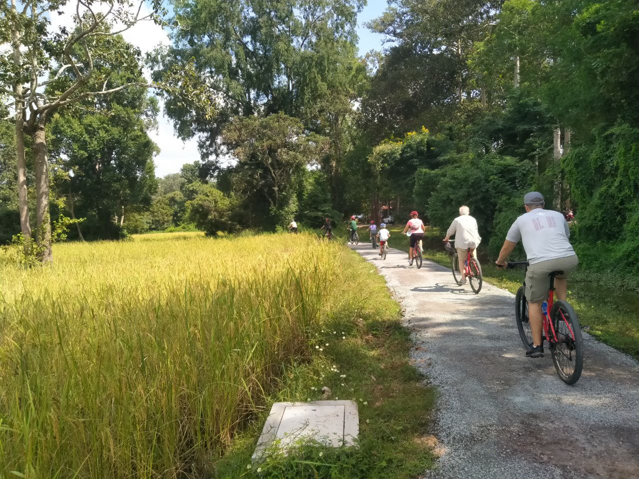 1735533447_road-bicycle-from-angkor-to-sihanouk-ville-cambodia (3).jpg